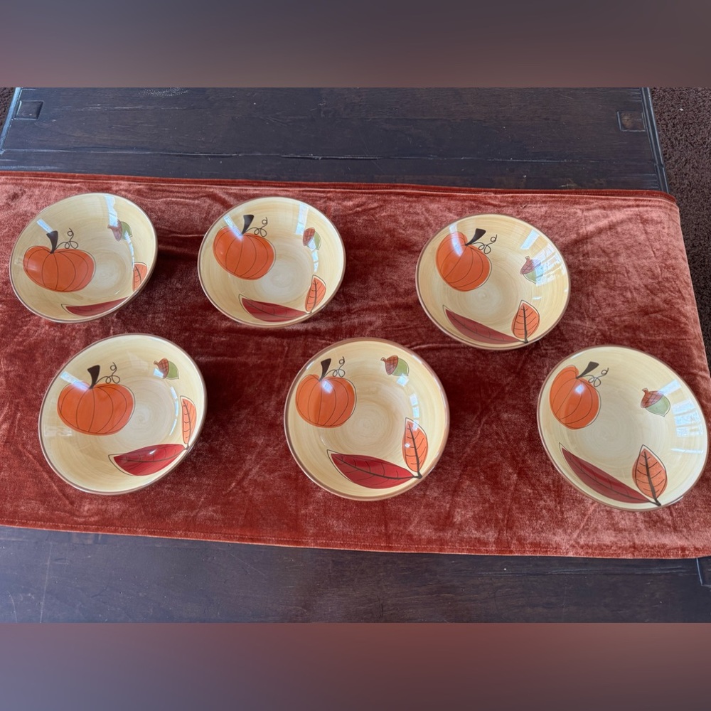 Tag Brand Set of 6 Fall Bowls 🍂